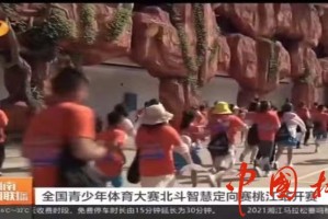  多特蒙德主场灯光故障导致比赛延期  